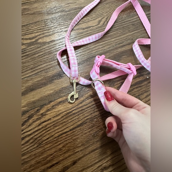 Stoney Clover Lane Dog Stoney Clover And Target Pet Leash And Sz S Collar Poshmark